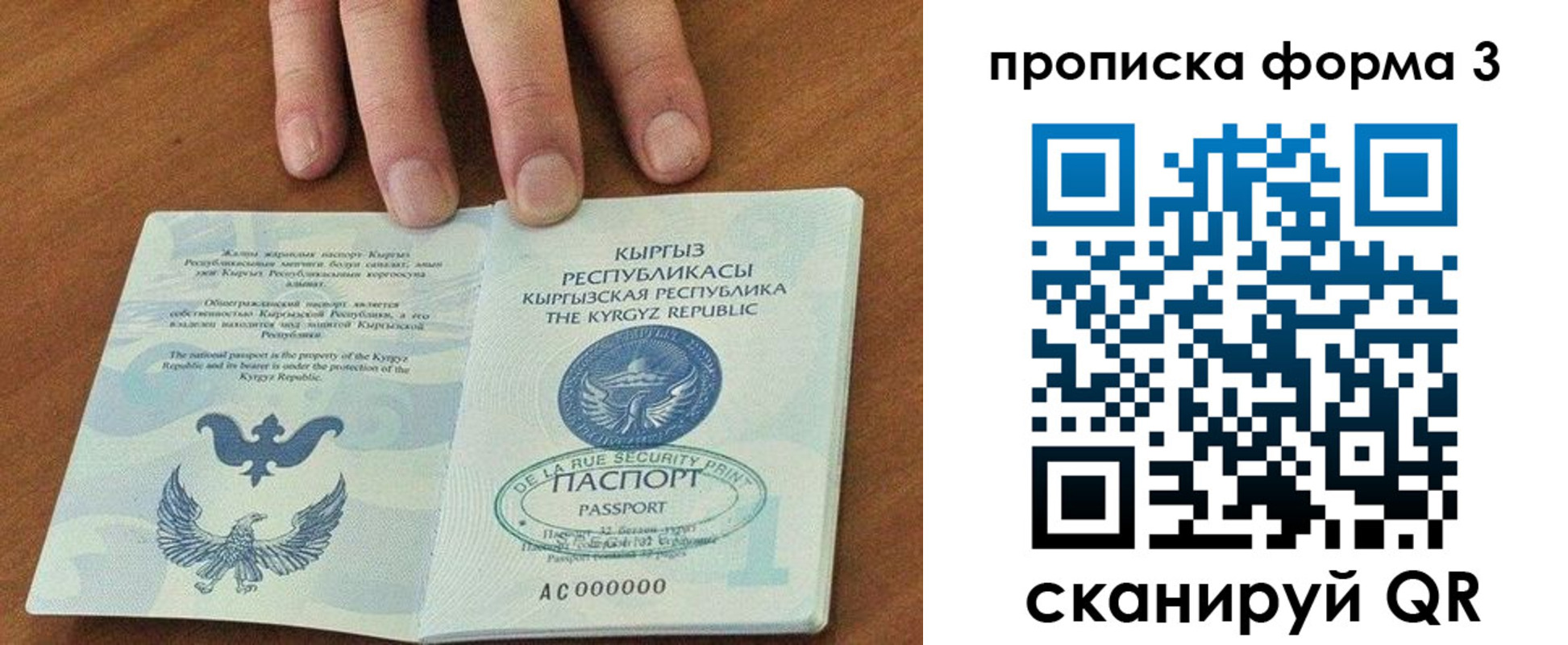 прописка 2025 в Елабуге